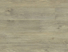 PLYMOUTH OAK | 807 TF